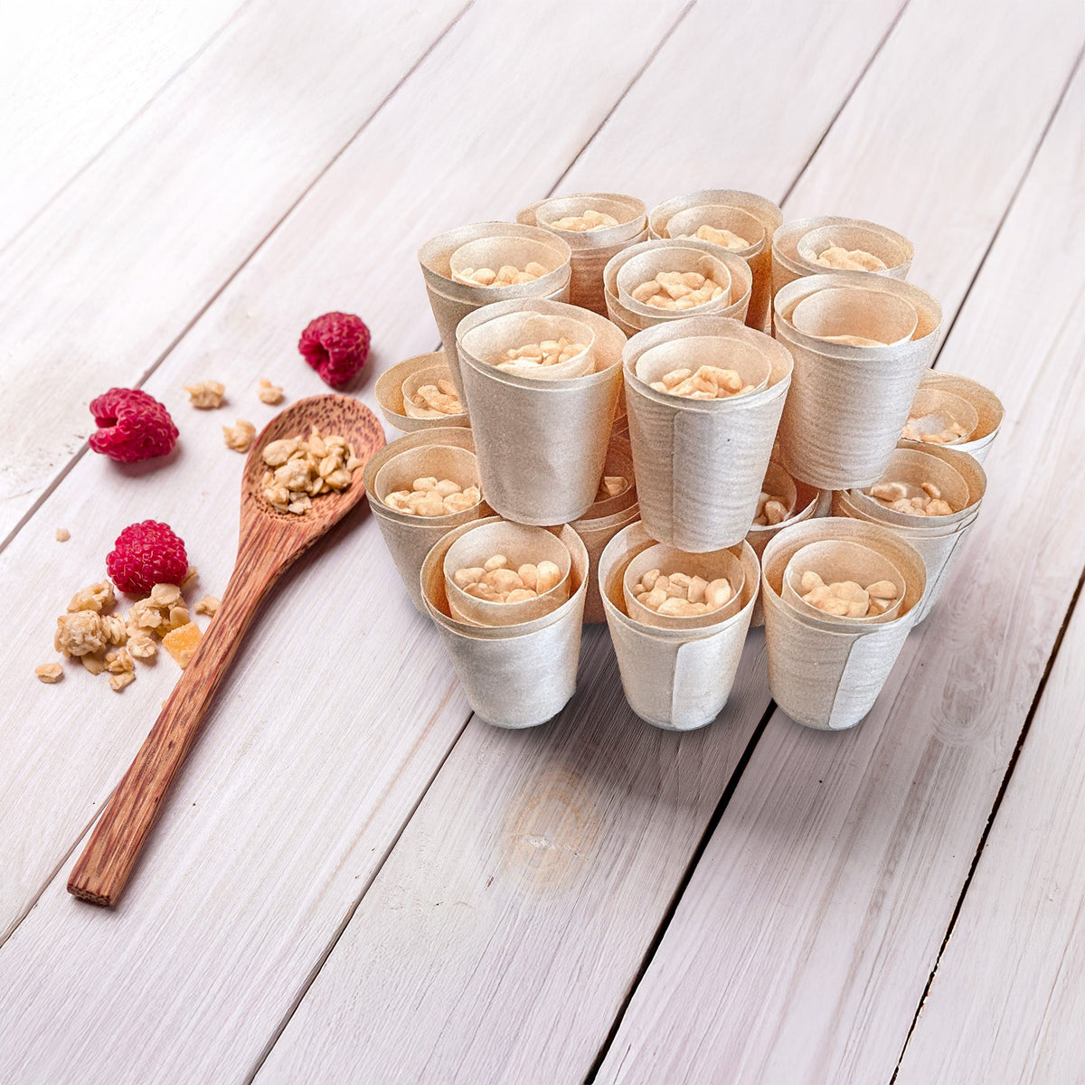Pyne Cups Disposable Pine Cups – Bygreen