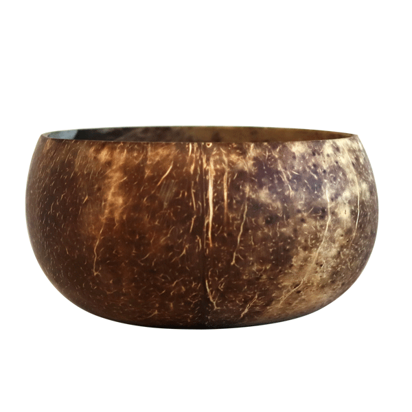 GO GREEN - COCONUT BOWL - JUMBO