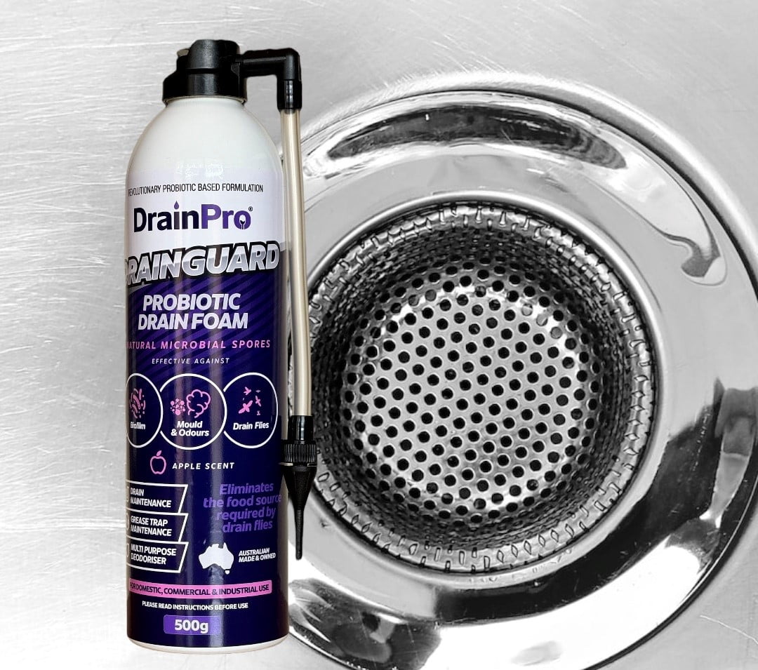 DRAIN PRO - DRAINGUARD FOAM AEROSOL